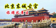 操烂小嫩逼视频中国北京-东城古宫旅游风景区